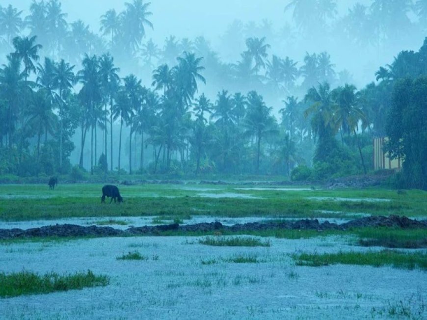 Monsoon Update : पुढच्या पाच दिवसांत मान्सून केरळमध्ये; यंदा देशात सरासरीपेक्षा १०६ टक्क्यांनी अधिक पडण्याचा अंदाज