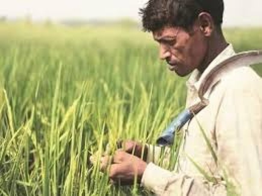 रत्नागिरी : 'पीएम किसान' योजनेपासून लाभार्थी शेतकरी वंचित