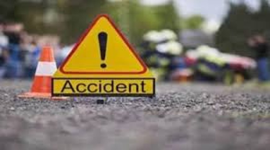 लांजा : पालू फाटा येथील दुचाकी अपघातात दुचाकीस्वार गंभीर जखमी