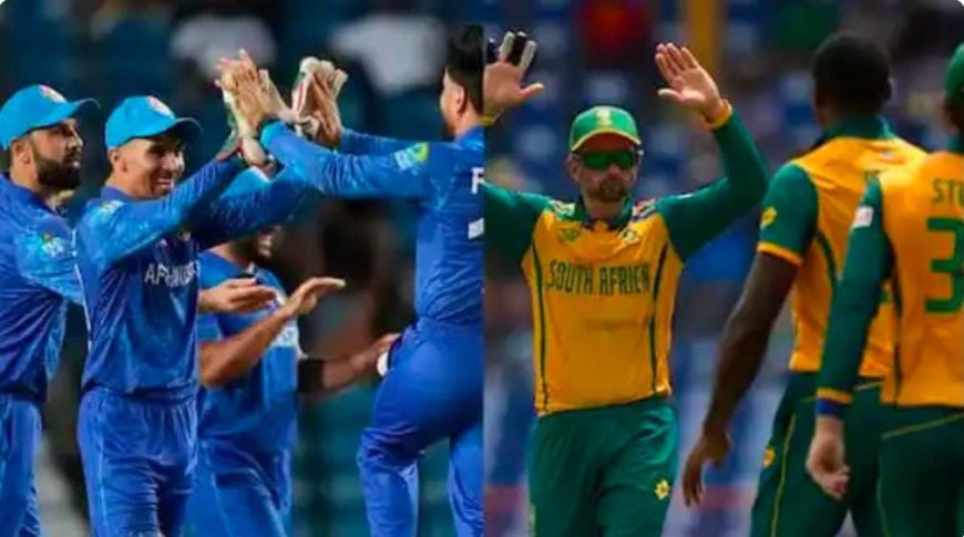 T20 World Cup 2024, SA vs AFG: द. अफ्रिकेची टी20 विश्वचषकात पहिल्यांदाच फायनलमध्ये धडक; अफगाणिस्तानविरुद्ध एकतर्फी विजय
