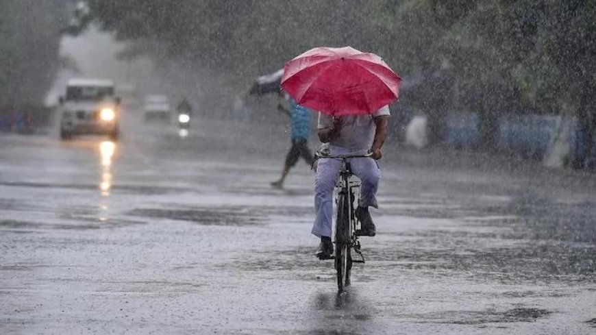 Maharashtra Weather Update  :राज्यात 'या' ठिकाणी ३ जुलैपर्यंत अतिवृष्टीचा इशारा