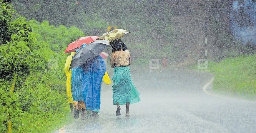 राज्यात जूनमध्ये १०६ टक्के पाऊस, पेरण्या मात्र ५६ टक्केच; असमान वितरणचा फटका