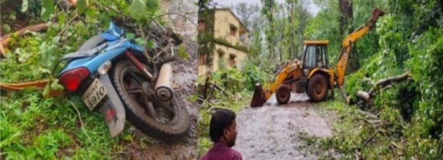 सोमेश्‍वर येथे पिंपळाचे झाड अंगावर पडून एकाचा मृत्यू