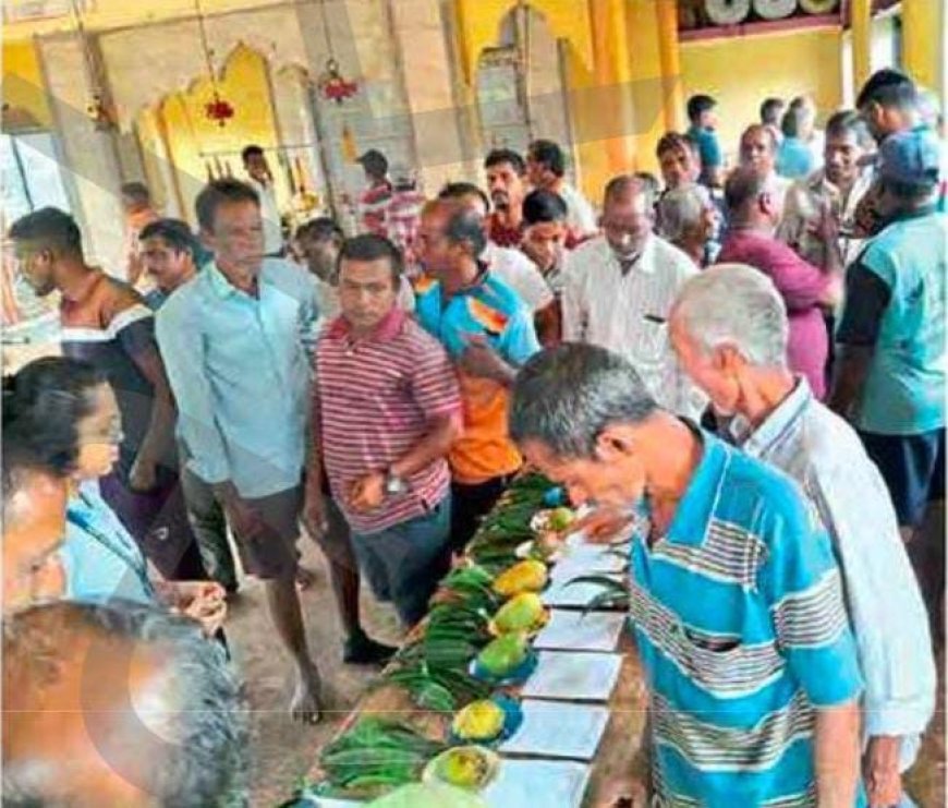 दापोली कृषी महाविद्यालयाकडून किन्हळमध्ये आंब्यांच्या वाणांचे प्रदर्शन