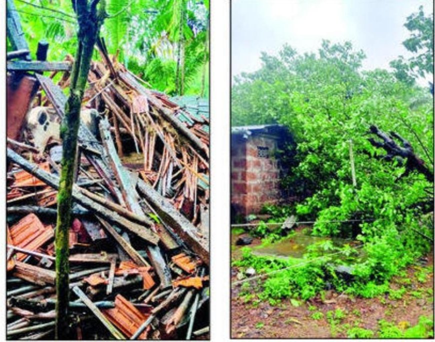 लांजात मुसळधार पावसामुळे नुकसान