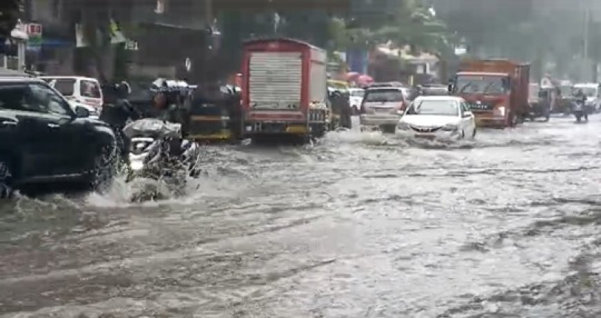 Raigad Rain: सावित्री नदीने धोक्याची पातळी ओलांडली, नगर परिषदेने भोंगा वाजवून नागरिकांना केले सतर्क