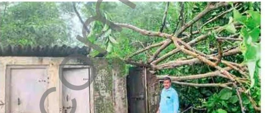 गावतळेत झाड पडून  श्रीमान मधूरभाई - बुटाला हायस्कूलच्या  स्वच्छतागृहाचे नुकसान