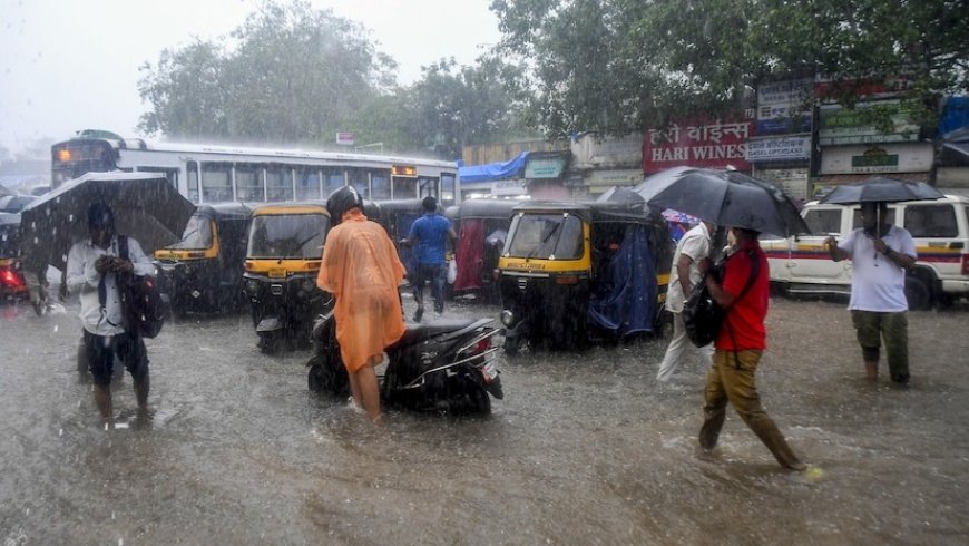 Maharashtra Rain: राज्यात आजही मुसळधार पावसाचा इशारा, 'या' जिल्ह्यांना अलर्ट