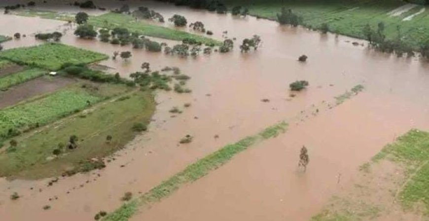 Kolhapur Flood : कोल्हापूर मधील ६० हजार हेक्टर क्षेत्र पाण्याखाली