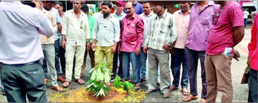 राजापूर : संतप्त रिक्षाचालकांचे खड्ड्यांमध्ये वृक्षारोपण