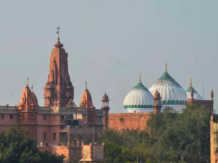 श्रीकृष्ण जन्मभूमी प्रकरण : मुस्लीम पक्षाला हायकोर्टाचा झटका, हिंदू पक्षाच्या याचिकांवर सुनावणी सुरू राहणार