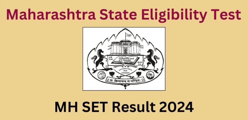 SET Result 2024 : सेट परीक्षेचा निकाल जाहीर; राज्यभरातून 7,273 विद्यार्थी उत्तीर्ण