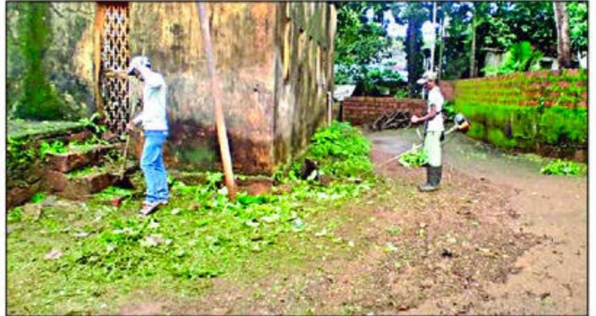 रत्नागिरी नगर परिषदेकडून झाडी-झुडपे छाटण्याचे काम सुरू