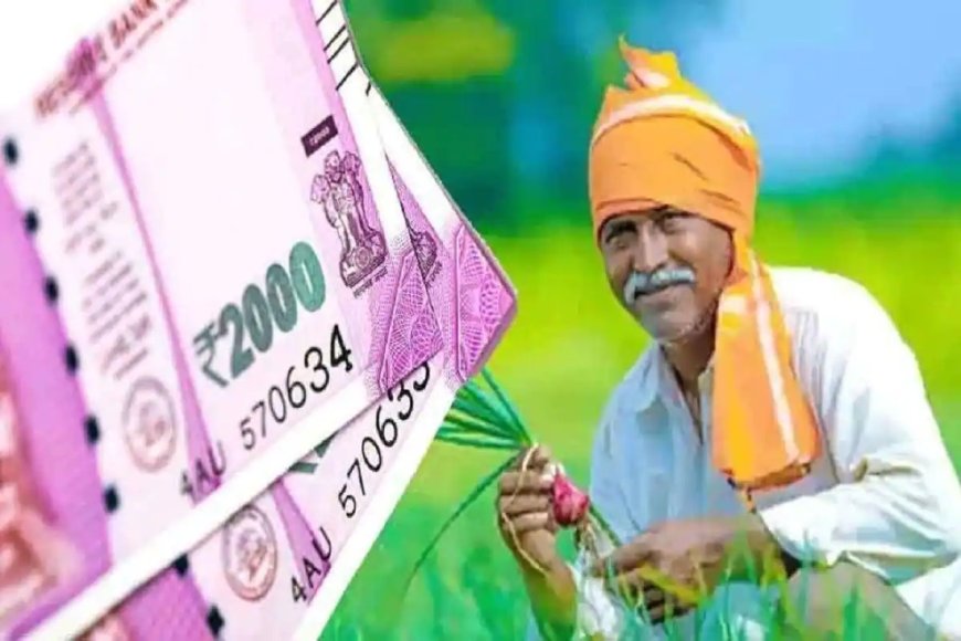 PM Kisan Yojana : 'नमो किसान'चे 2000 रुपये आज जमा होणार