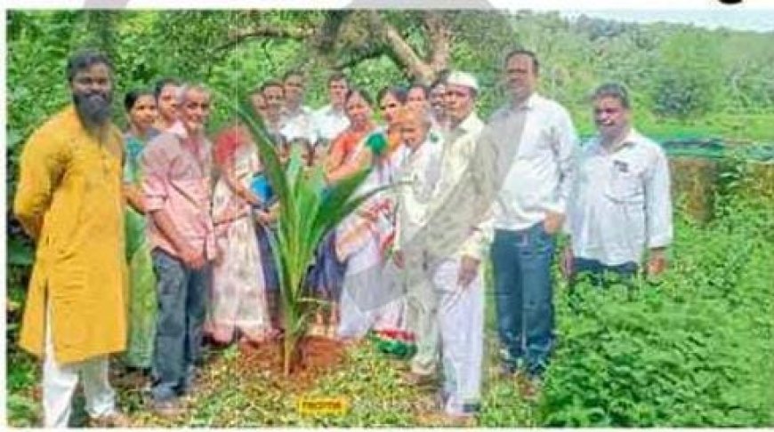 रत्नागिरी : हातिस येथे कल्पवृक्षाच्या ७७ व्या वाढदिवसानिमित्त नवीन कल्पवृक्षाची लागवड