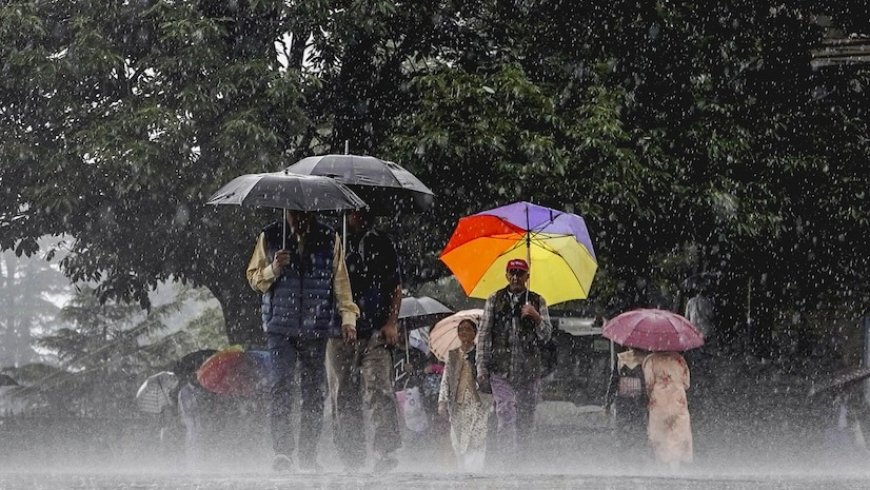 Rain Alert : राज्यात सर्वत्र मुसळधार पावसाचा इशारा