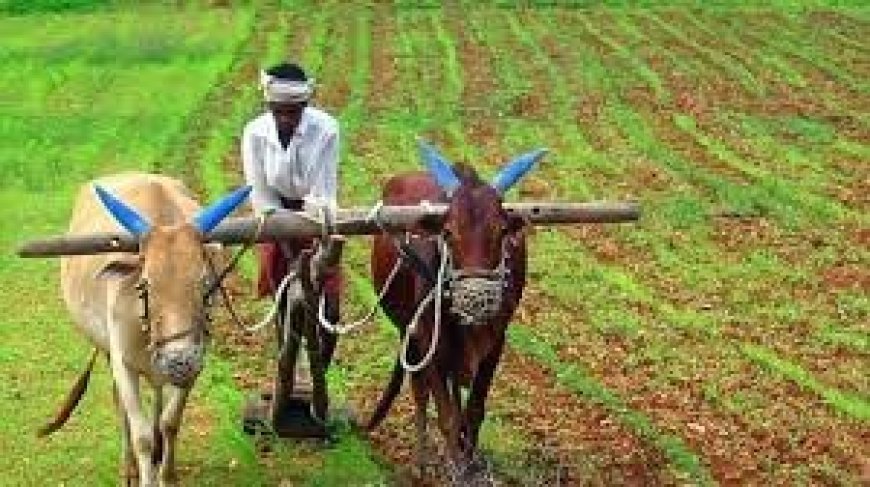 रत्नागिरी : बळीराजा वीज योजनेचा जिल्ह्यातील नऊ हजार शेतकऱ्यांना होणार लाभ