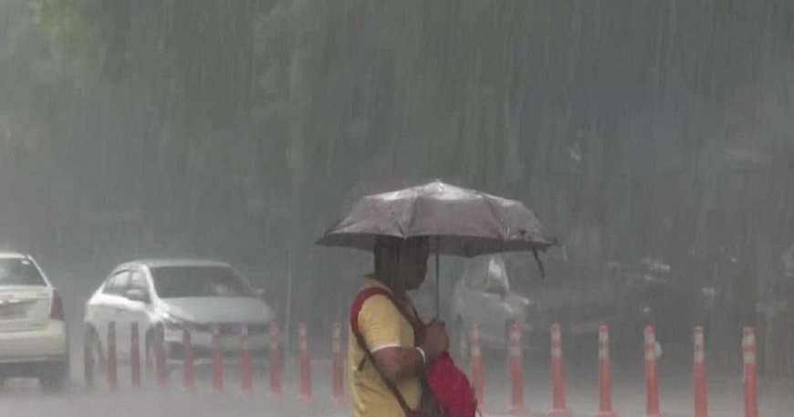 Maharashtra Weather Update : कमी दाबाचा पट्टा सक्रिय; IMD कडून 'या' जिल्ह्यांना सतर्कतेचा इशारा