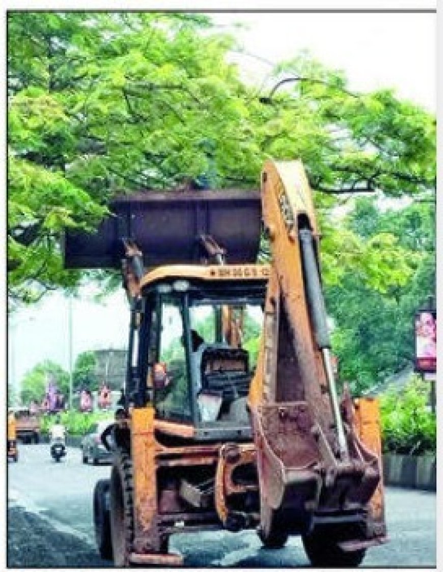 रत्नागिरी शहरातील मुख्य रस्त्यांवरील झाडांची छाटणी