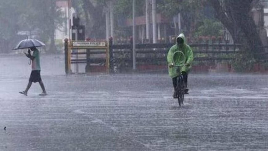 Maharashtra Weather Update : कोकणाला मुसळधार पावसाचा इशारा