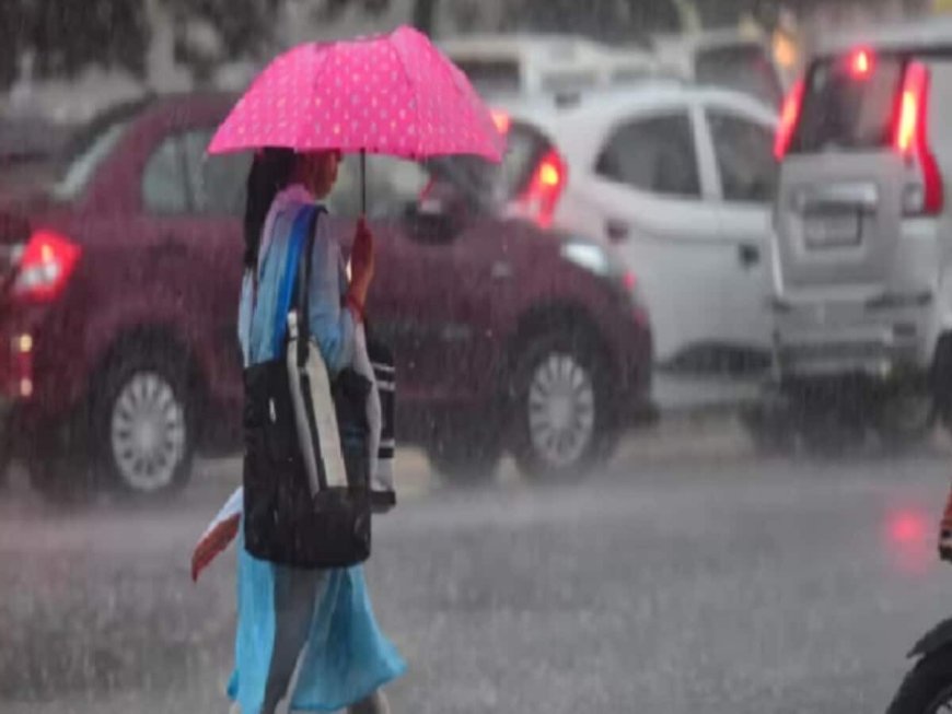 Rain Updates : पावसाचा जोर ओसरला..! आज कुठे, किती पडणार पाऊस? जाणून घ्या