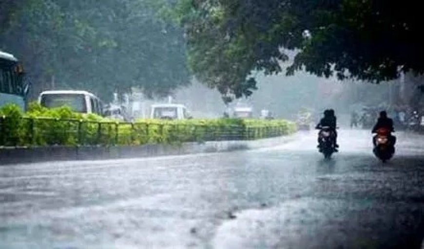 Maharashtra Weather Update : आज पावसाची विश्रांती!