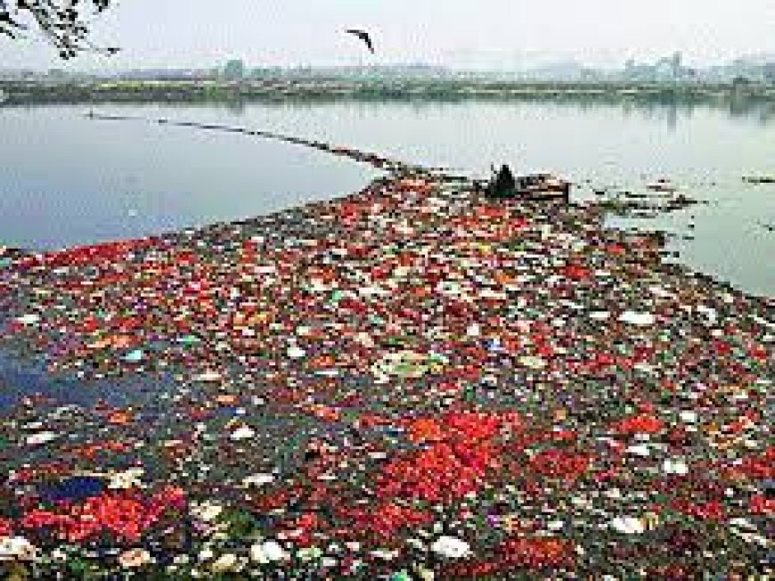 रत्नागिरी : मांडवी किनाऱ्यावर निर्माल्य संकलनाचा उपक्रम