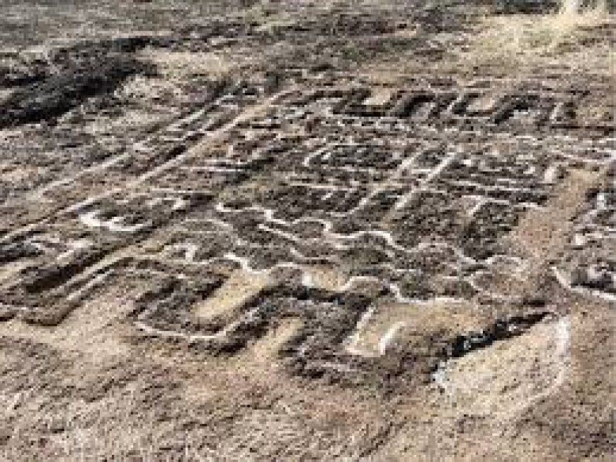 देवीहसोळचे कातळशिल्प राजापूरचे सौदर्य; जागतिक वारसास्थळ यादीत  समावेश