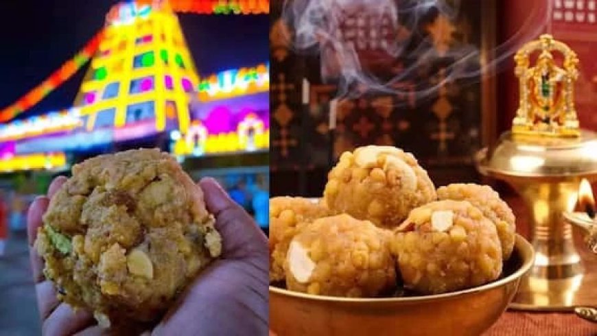 Tirupati Laddu Controversy :  तिरुपती बालाजीच्या प्रसादाच्या लाडूत जनावरांची चरबी?