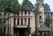 Chiplun Municipal Council Action: मोकाट गाढवांच्या मालकांवर चिपळूण न.प.ची दंडात्मक कारवाई