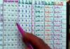 Chiplun Matka Gambling Case: विरेश्वर तलाव परिसरात मटका जुगार चालवणारा बुकी जेरबंद