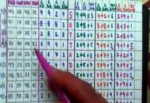 Chiplun Matka Gambling Case: विरेश्वर तलाव परिसरात मटका जुगार चालवणारा बुकी जेरबंद