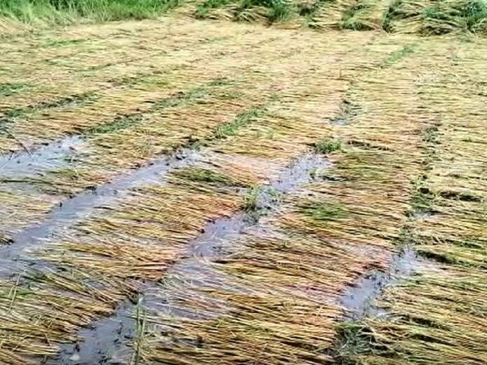 59f6da828d784d75345b325e37d99257