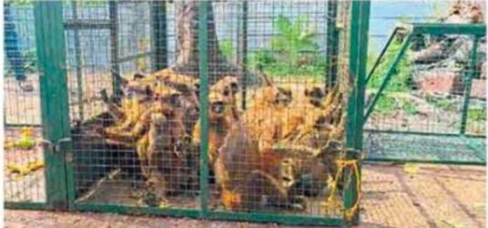 Untitled-2024-10-19T113637.555-7