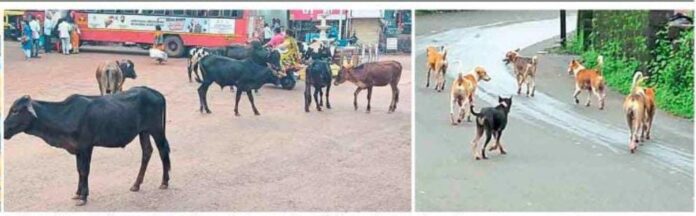 Untitled - 2024-10-29T153408.586