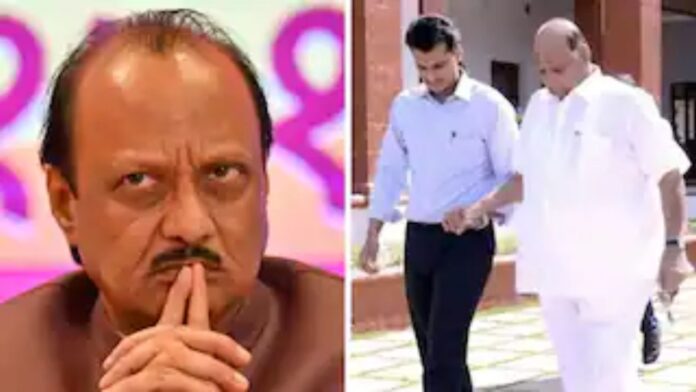 Untitled design (12)