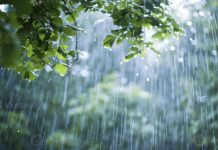 Maharashtra Weather 2024