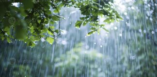 Maharashtra Weather 2024