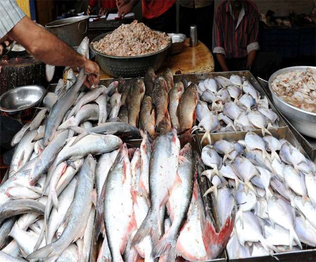 Ratnagiri: Fish prices within reach