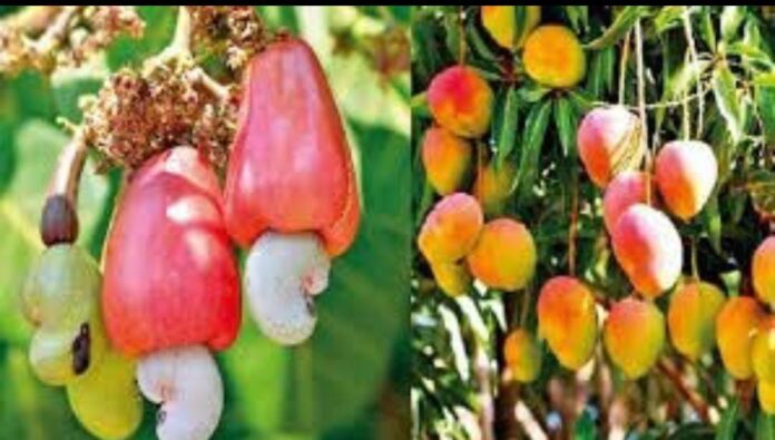 Untitled - 2024-11-08T154318.697