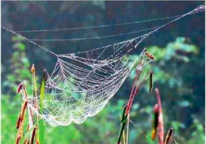 Untitled - 2024-11-12T160725.107