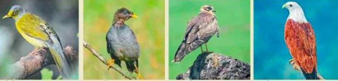 Untitled - 2024-11-13T153707.181