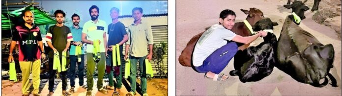 Untitled-2024-11-23T151327.143-7 (1)