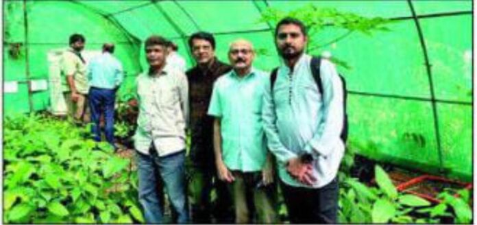 Untitled - 2024-11-26T143925.850