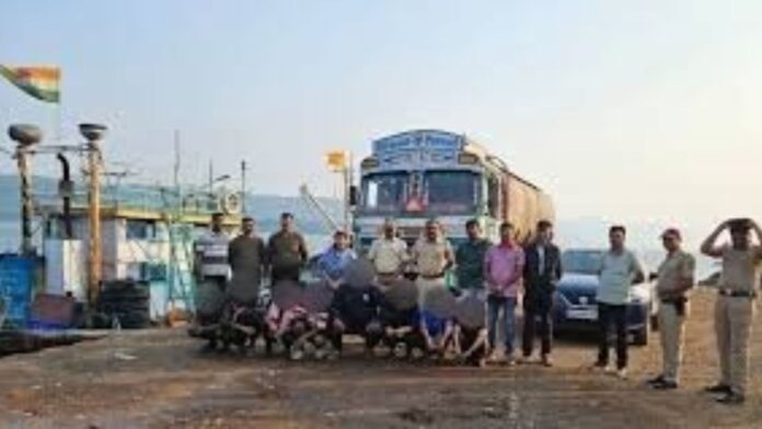 Untitled design (33)