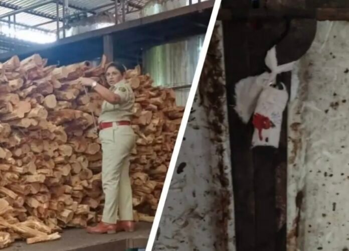 image_editor_output_image-124499