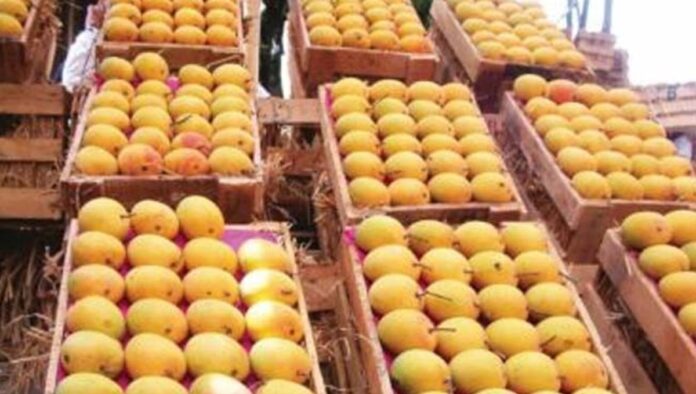 pudhariimportwp-contentuploads20 (6)