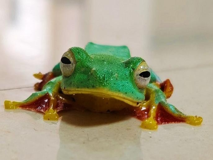 7df0e4db4dbab65e3f9fa880dcbca2ee