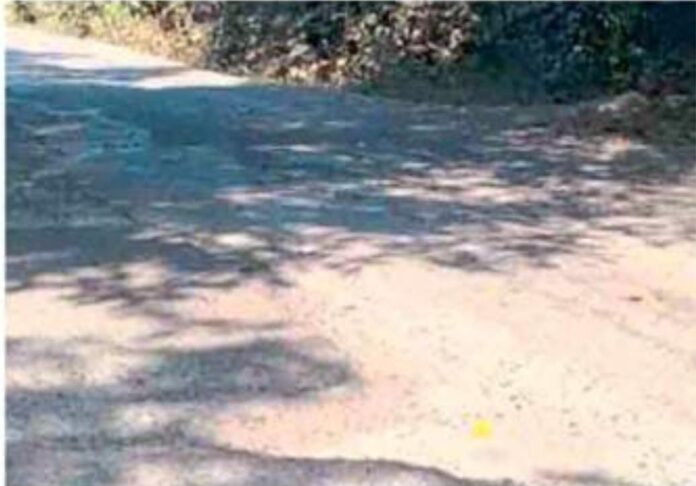 Untitled - 2024-12-10T150122.879