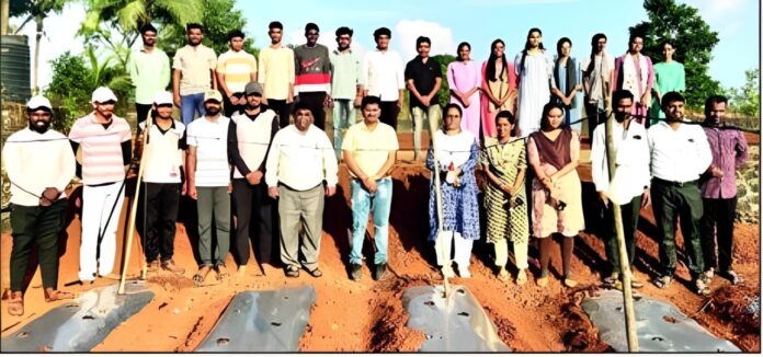 Untitled-2024-12-11T160555.586 (1)